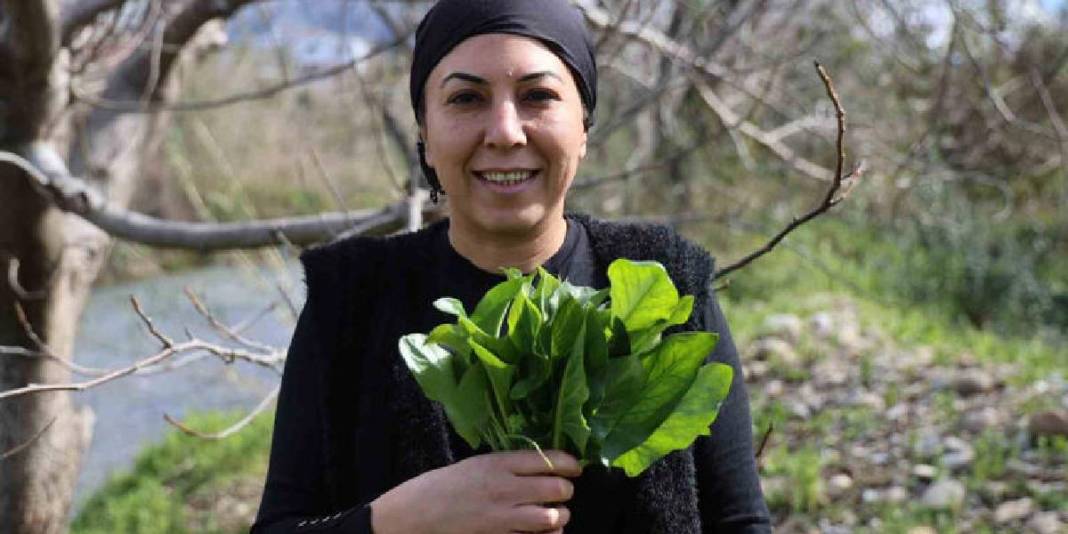 Doğanın en zehirli otlarından: Kadın elinde şifaya dönüşüyor 6